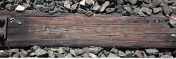 Photo Textures of Wood